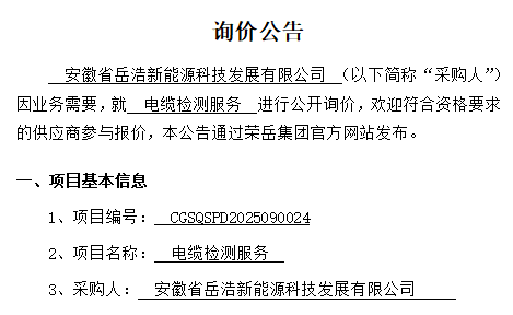 安徽省岳浩新能源科技发展有限公司“电缆检测服务”项目询价公告